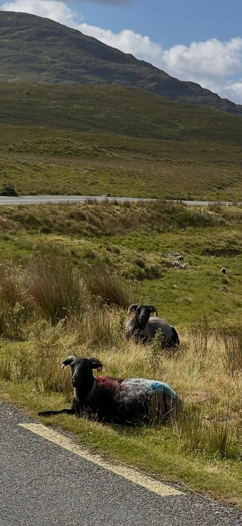 Connemara countryside